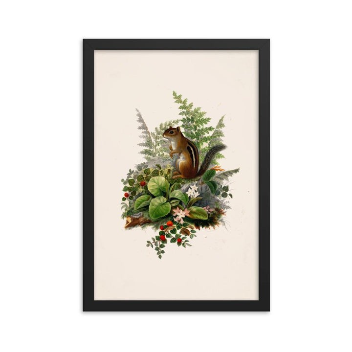 Eichhörnchen - Poster im Rahmen Boston Public Library schwarz / 30x45 cm artlia