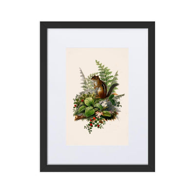 Eichhörnchen - Poster im Rahmen mit Passepartout Boston Public Library schwarz / 30×40 cm artlia