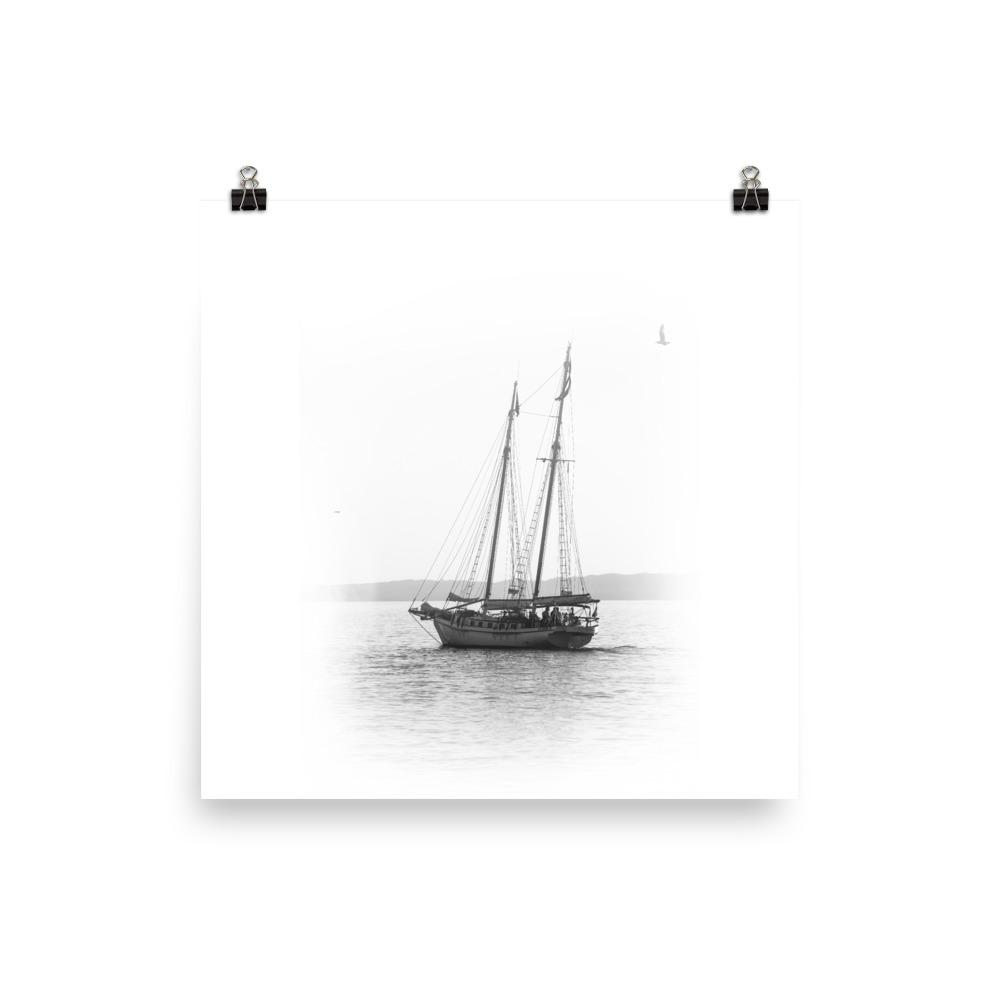 ein Segelboot - Poster Kuratoren von artlia 25x25 cm artlia
