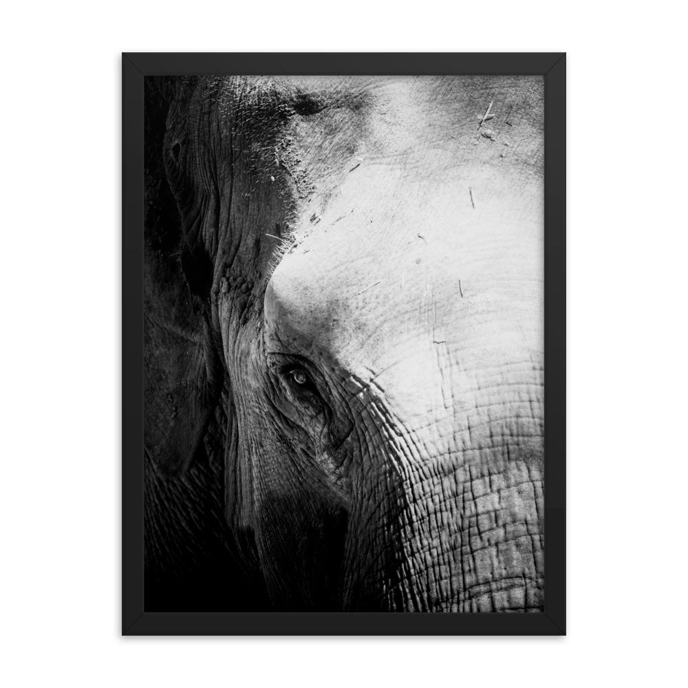 Elefant von Chiangmai - Poster im Rahmen Kuratoren von artlia schwarz / 30x41 cm artlia