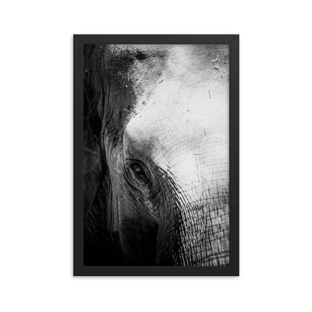 Elefant von Chiangmai - Poster im Rahmen Kuratoren von artlia schwarz / 30x45 cm artlia