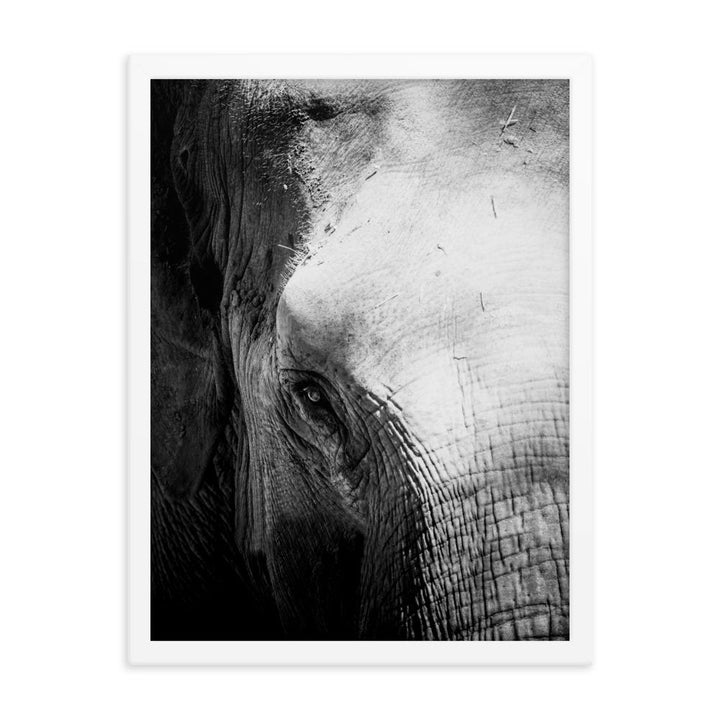 Elefant von Chiangmai - Poster im Rahmen Kuratoren von artlia weiß / 30x41 cm artlia