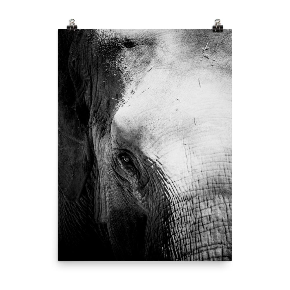 Elefant von Chiangmai - Poster Kuratoren von artlia 30x41 cm artlia