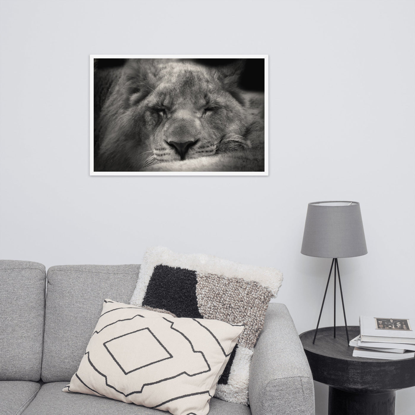 Entspannter Löwin Relaxed Lioness - Poster im Rahmen artlia artlia