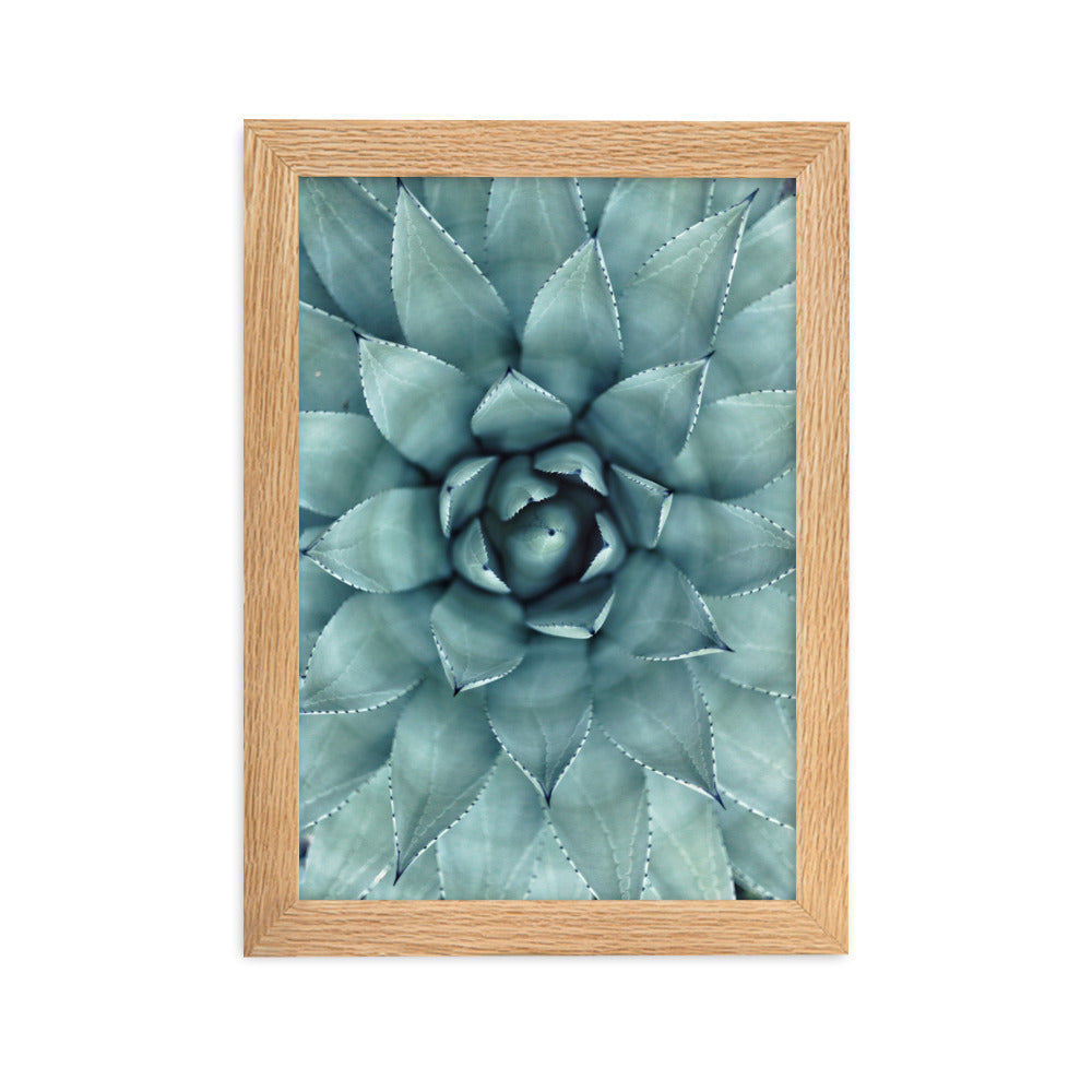 Flower Cactus Blumenkaktus - Poster im Rahmen Kuratoren von artlia Oak / 21×30 cm artlia