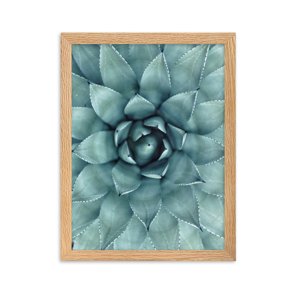 Flower Cactus Blumenkaktus - Poster im Rahmen Kuratoren von artlia Oak / 30×40 cm artlia