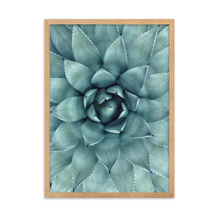Flower Cactus Blumenkaktus - Poster im Rahmen Kuratoren von artlia Oak / 50×70 cm artlia