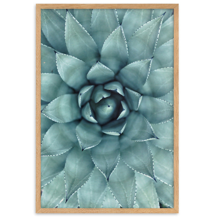 Flower Cactus Blumenkaktus - Poster im Rahmen Kuratoren von artlia Oak / 61×91 cm artlia