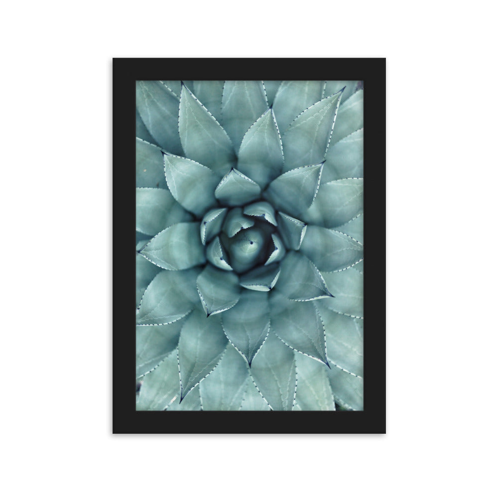 Flower Cactus Blumenkaktus - Poster im Rahmen Kuratoren von artlia Schwarz / 21×30 cm artlia