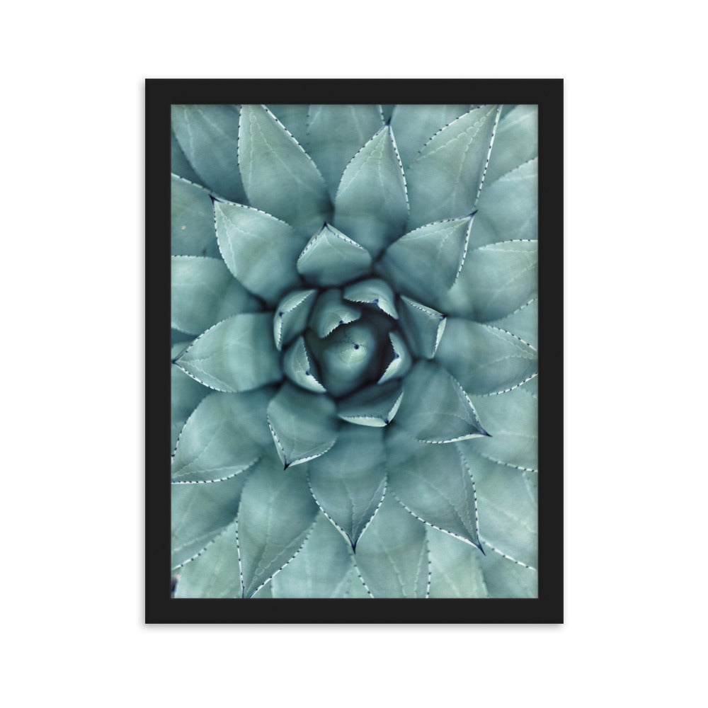 Flower Cactus Blumenkaktus - Poster im Rahmen Kuratoren von artlia Schwarz / 30×40 cm artlia