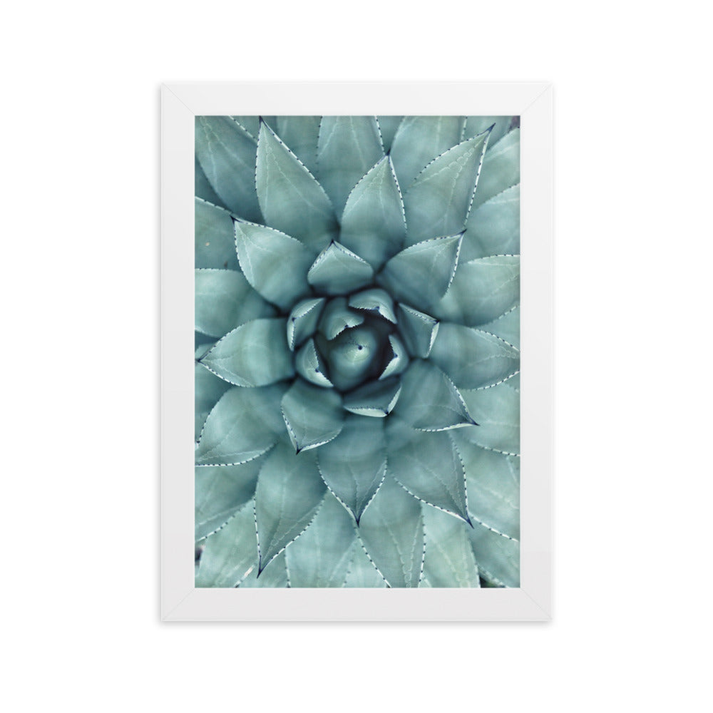 Flower Cactus Blumenkaktus - Poster im Rahmen Kuratoren von artlia Weiß / 21×30 cm artlia