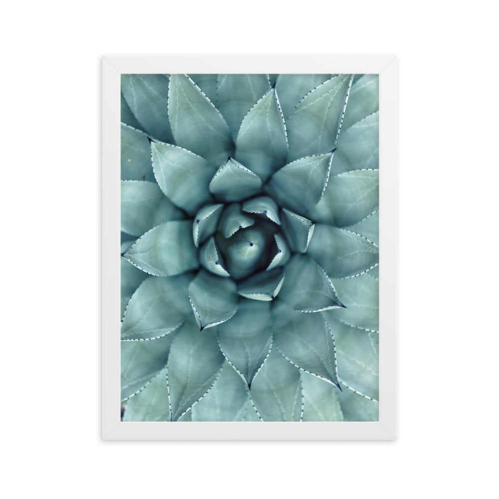 Flower Cactus Blumenkaktus - Poster im Rahmen Kuratoren von artlia Weiß / 30×40 cm artlia