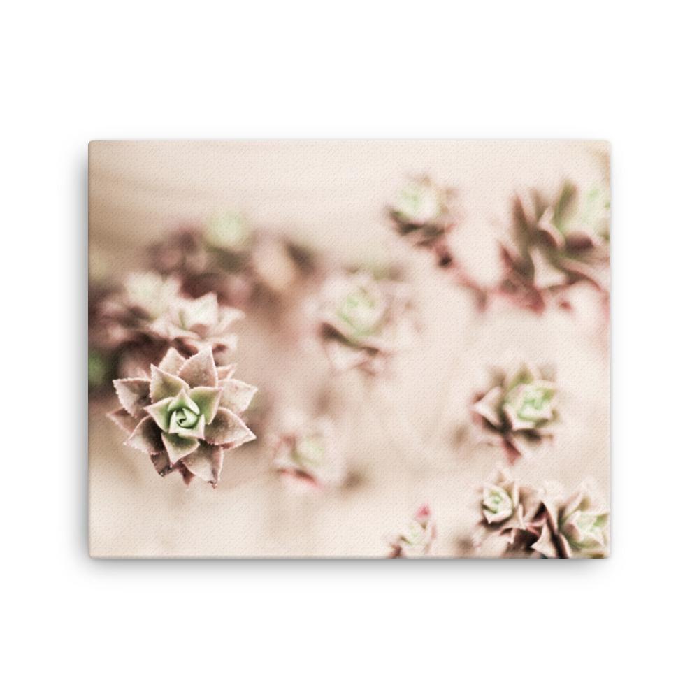 Flower Cactus - Leinwand artlia 16″×20″ artlia