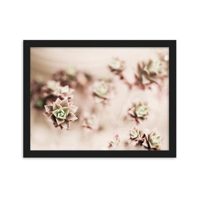 Flower Cactus - Poster im Rahmen artlia Schwarz / 30×40 cm artlia