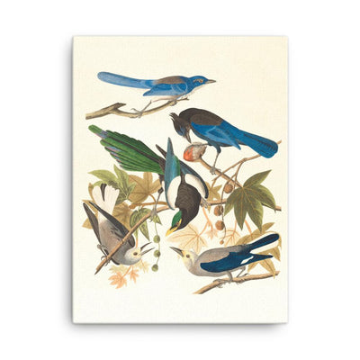 fünf Vögel auf den Ästen - Leinwand Boston Public Library 30x41 cm artlia