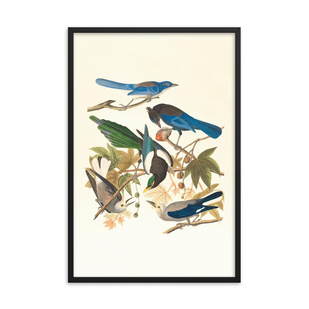 fünf Vögel auf den Ästen - Poster im Rahmen Boston Public Library schwarz / 61x91 cm artlia