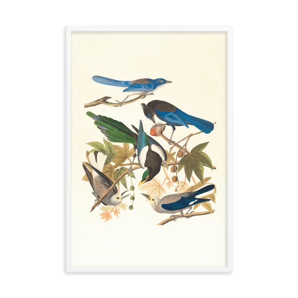 fünf Vögel auf den Ästen - Poster im Rahmen Boston Public Library weiß / 61x91 cm artlia