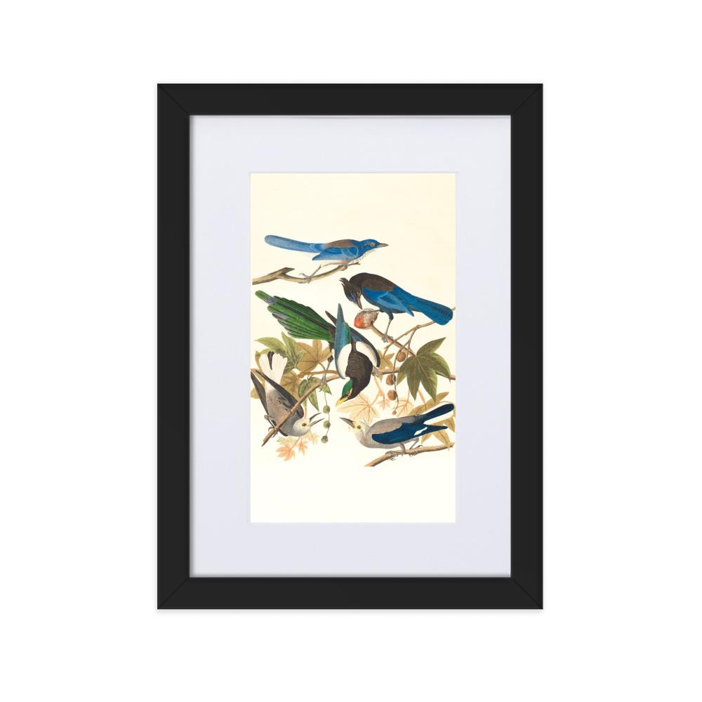 fünf Vögel auf den Ästen - Poster im Rahmen mit Passepartout Boston Public Library schwarz / 21×30 cm artlia