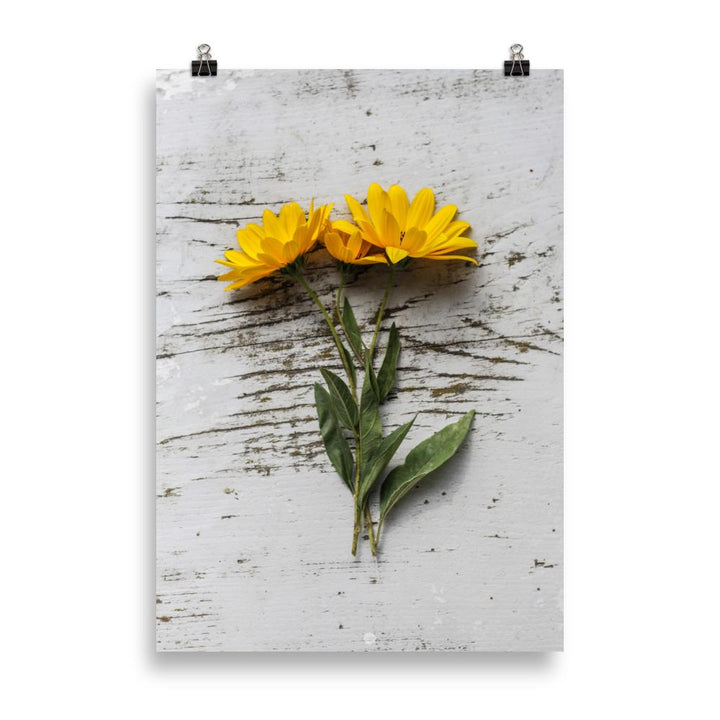 gelbe Blumen Yellow Flowers 6 - Poster artlia 70×100 cm artlia