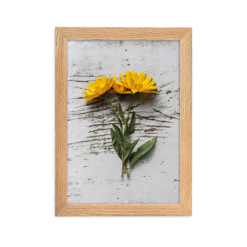 gelbe Blumen Yellow Flowers 6 - Poster im Rahmen artlia Oak / 21×30 cm artlia