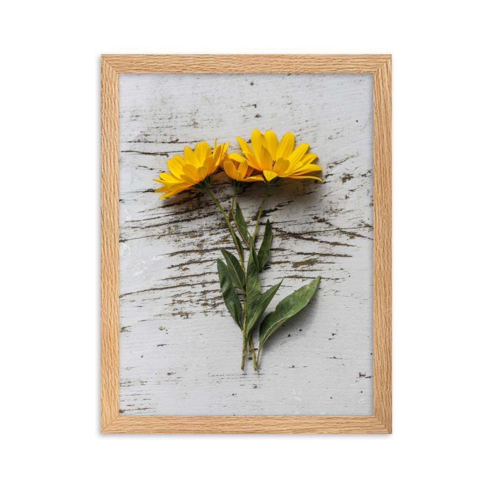gelbe Blumen Yellow Flowers 6 - Poster im Rahmen artlia Oak / 30×40 cm artlia