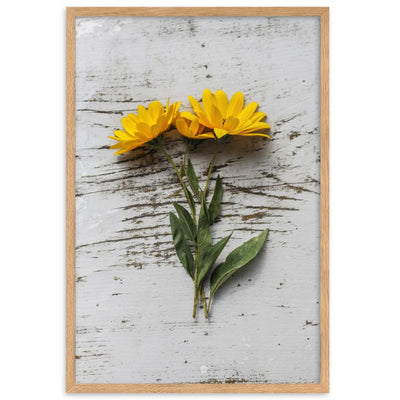 gelbe Blumen Yellow Flowers 6 - Poster im Rahmen artlia Oak / 61×91 cm artlia