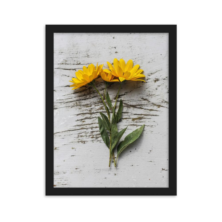 gelbe Blumen Yellow Flowers 6 - Poster im Rahmen artlia Schwarz / 30×40 cm artlia