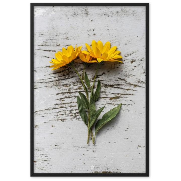 gelbe Blumen Yellow Flowers 6 - Poster im Rahmen artlia Schwarz / 61×91 cm artlia