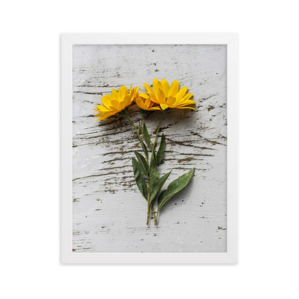 gelbe Blumen Yellow Flowers 6 - Poster im Rahmen artlia Weiß / 30×40 cm artlia