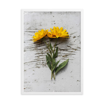 gelbe Blumen Yellow Flowers 6 - Poster im Rahmen artlia Weiß / 50×70 cm artlia