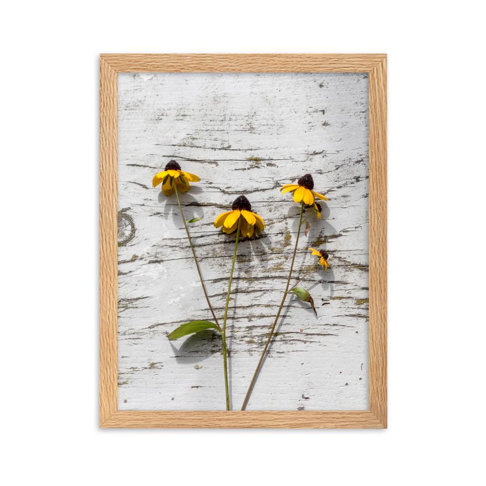 gelbe Blumen Yellow Flowers 7 - Poster im Rahmen artlia Oak / 30×40 cm artlia