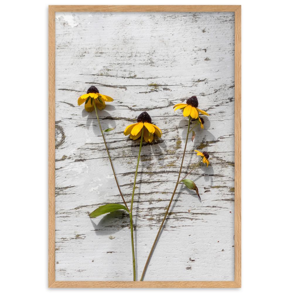 gelbe Blumen Yellow Flowers 7 - Poster im Rahmen artlia Oak / 61×91 cm artlia