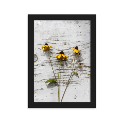 gelbe Blumen Yellow Flowers 7 - Poster im Rahmen artlia Schwarz / 21×30 cm artlia