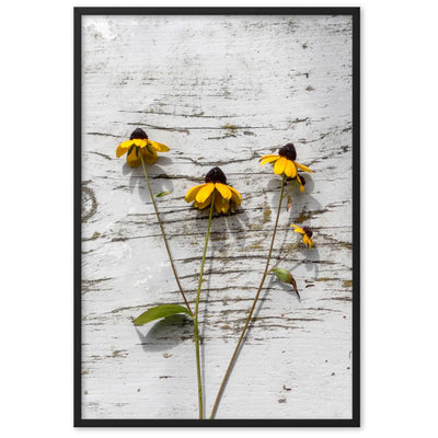 gelbe Blumen Yellow Flowers 7 - Poster im Rahmen artlia Schwarz / 61×91 cm artlia
