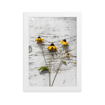 gelbe Blumen Yellow Flowers 7 - Poster im Rahmen artlia Weiß / 21×30 cm artlia