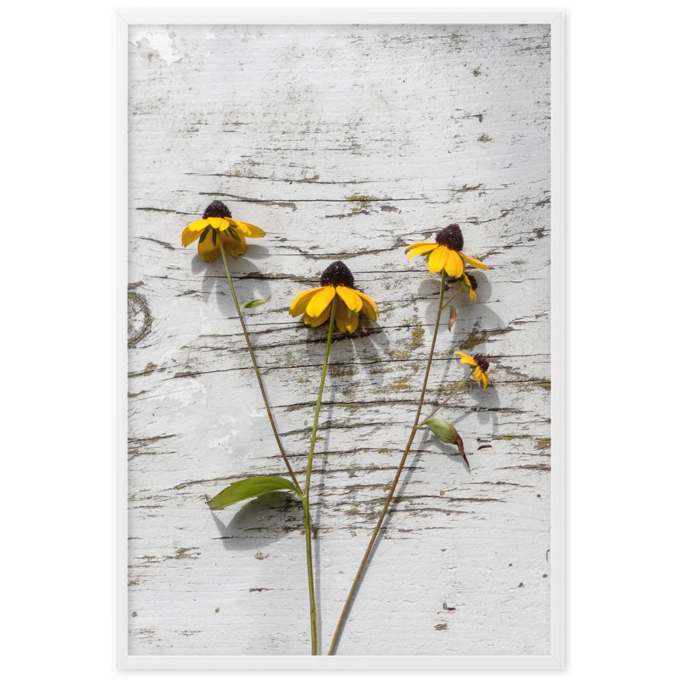 gelbe Blumen Yellow Flowers 7 - Poster im Rahmen artlia Weiß / 61×91 cm artlia