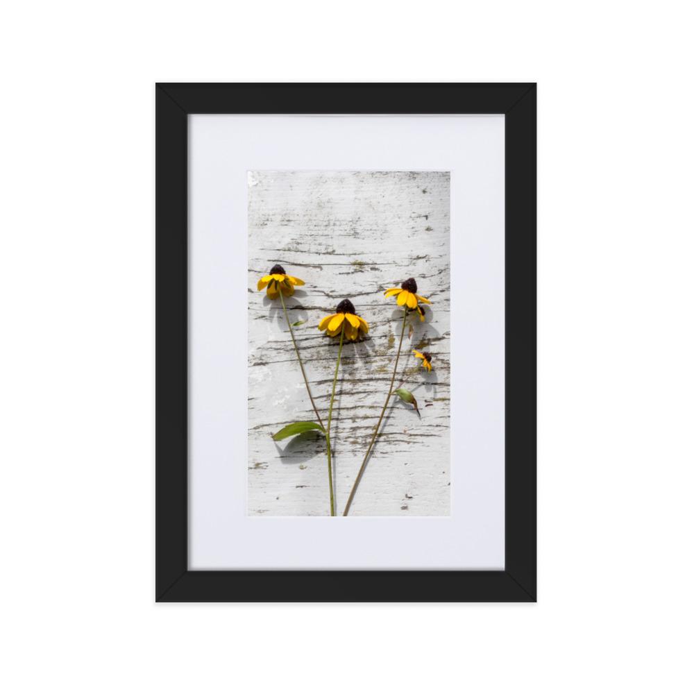 gelbe Blumen Yellow Flowers 7 - Poster im Rahmen mit Passepartout artlia Schwarz / 21×30 cm artlia