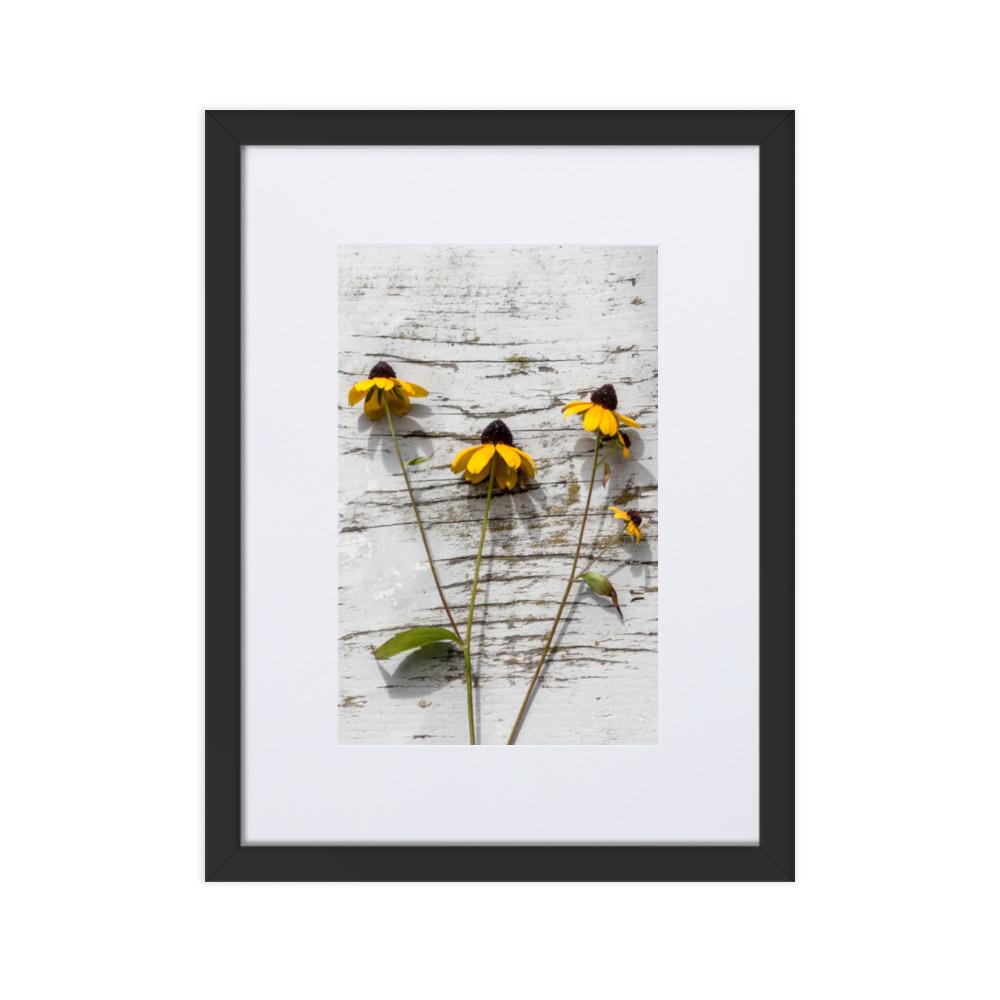 gelbe Blumen Yellow Flowers 7 - Poster im Rahmen mit Passepartout artlia Schwarz / 30×40 cm artlia