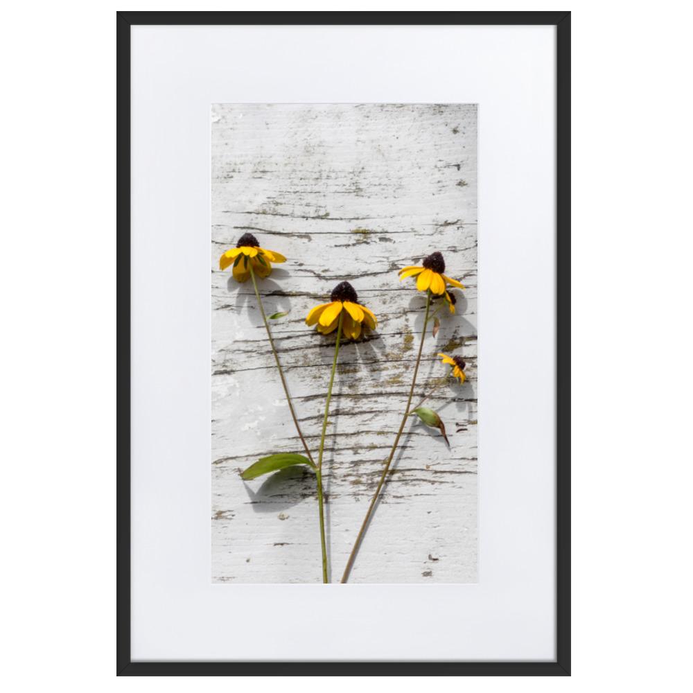 gelbe Blumen Yellow Flowers 7 - Poster im Rahmen mit Passepartout artlia Schwarz / 61×91 cm artlia