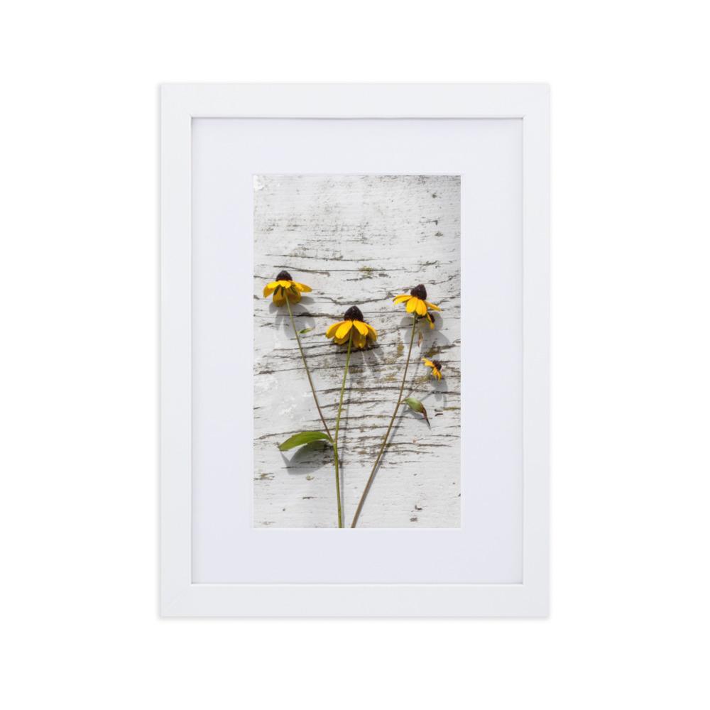 gelbe Blumen Yellow Flowers 7 - Poster im Rahmen mit Passepartout artlia Weiß / 21×30 cm artlia