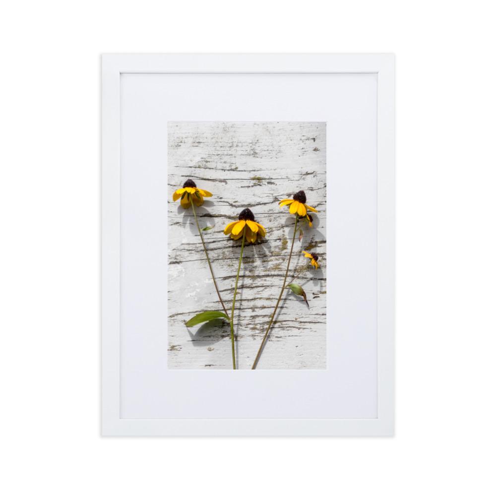 gelbe Blumen Yellow Flowers 7 - Poster im Rahmen mit Passepartout artlia Weiß / 30×40 cm artlia
