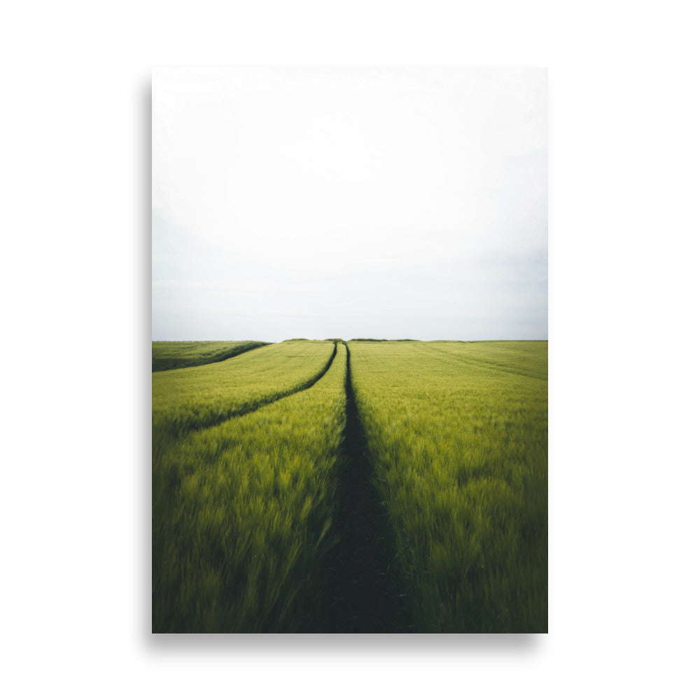 Gerstenfeld barley field - Poster Kuratoren von artlia 21×30 cm artlia