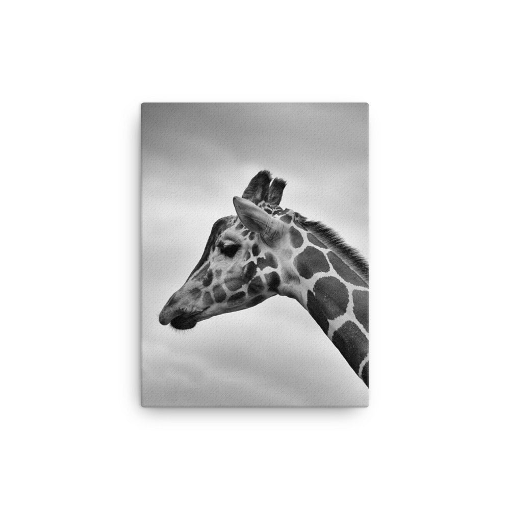 Giraffe - Leinwand Kuratoren von artlia 30x41 cm artlia