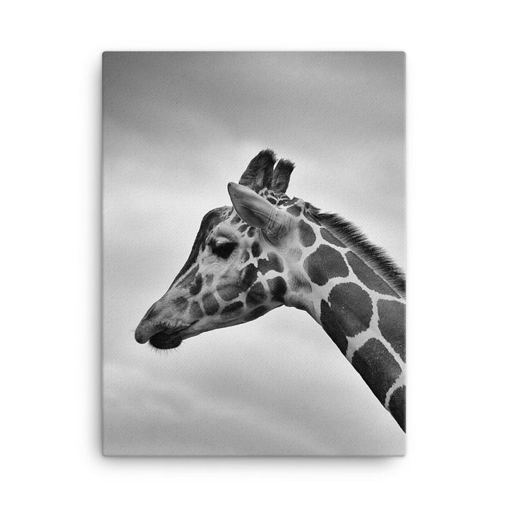 Giraffe - Leinwand Kuratoren von artlia 46x61 cm artlia