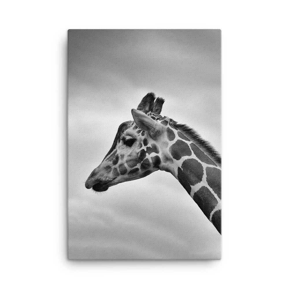 Giraffe - Leinwand Kuratoren von artlia 61x91 cm artlia