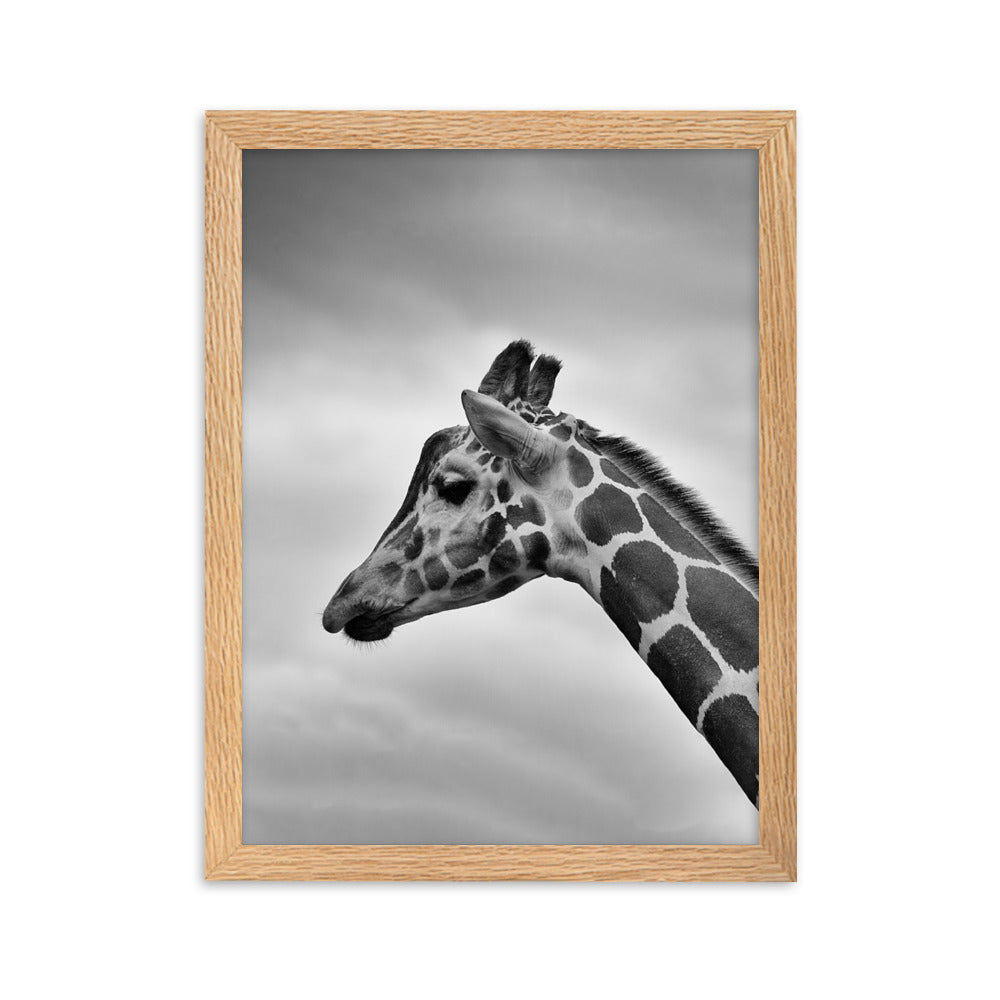 Giraffe - Poster im Rahmen Kuratoren von artlia Oak / 30×40 cm artlia