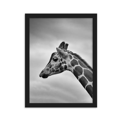 Giraffe - Poster im Rahmen Kuratoren von artlia Schwarz / 30×40 cm artlia
