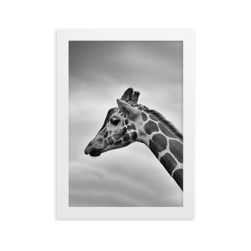 Giraffe - Poster im Rahmen Kuratoren von artlia Weiß / 21×30 cm artlia
