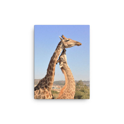 Giraffen - Leinwand Kuratoren von artlia 30x41 cm artlia