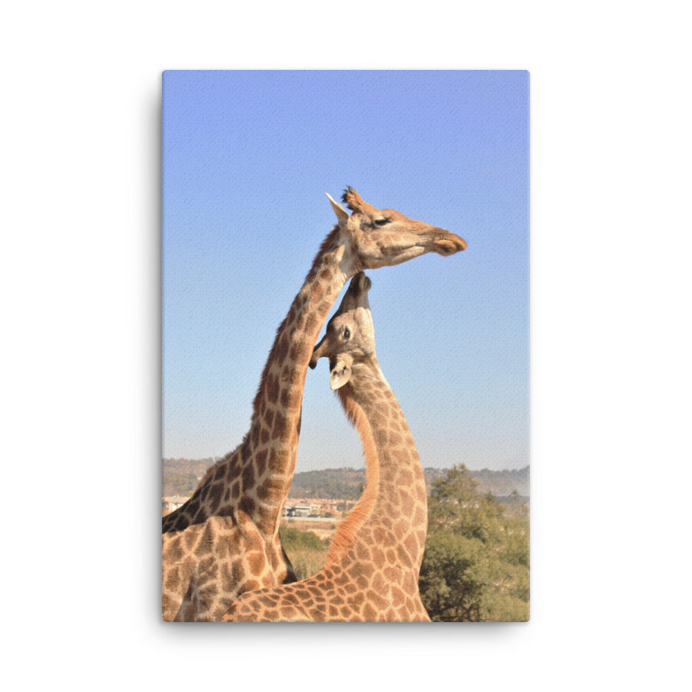 Giraffen - Leinwand Kuratoren von artlia 61x91 cm artlia
